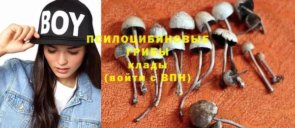 спайс Гусиноозёрск