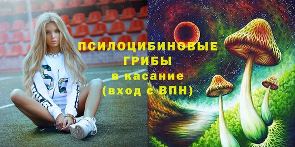 MESCALINE Гусь-Хрустальный
