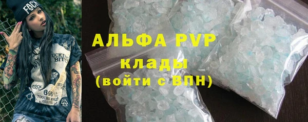 прущие грибы Дмитриев