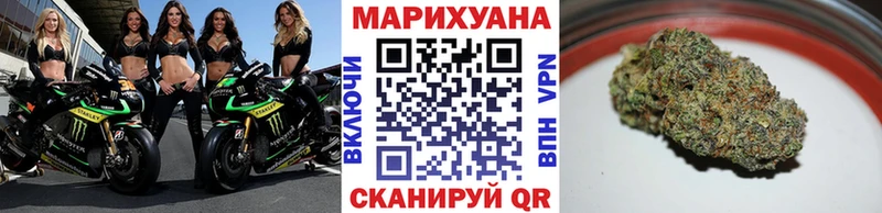 Каннабис сатива  как найти   Онега 
